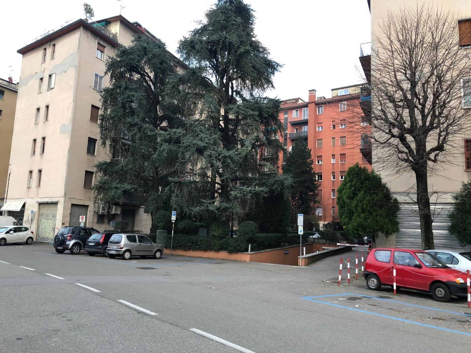 Tra Le Torri B&B - Ampia Stanza Privata In Appartamento Con Bagno Privato Accessibile Da Corridoio Bologna Exterior photo